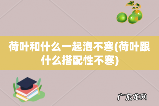 荷叶跟什么搭配性不寒 荷叶和什么一起泡不寒