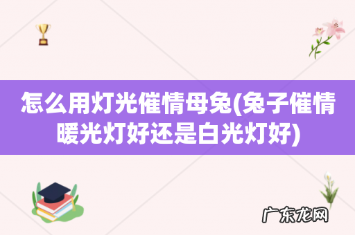 兔子催情暖光灯好还是白光灯好 怎么用灯光催情母兔