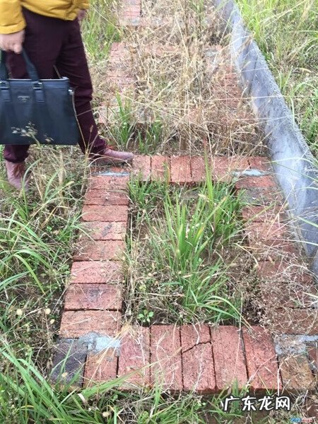 温江风景区有哪些 温江塔陵风水