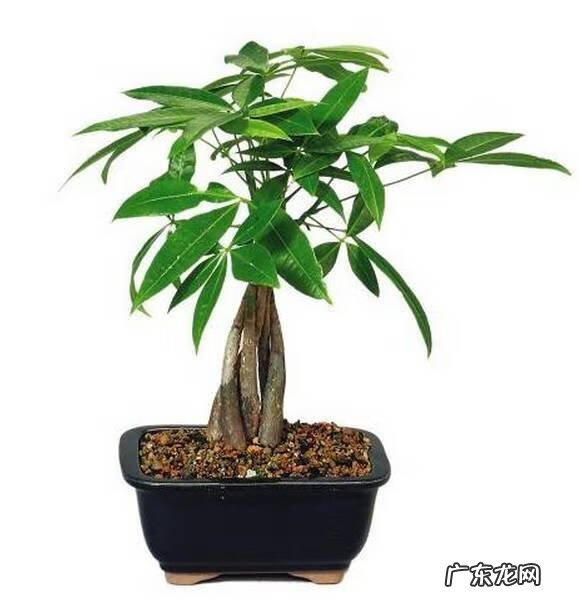 坐东北向西南的风水 坐西南向东北的风水