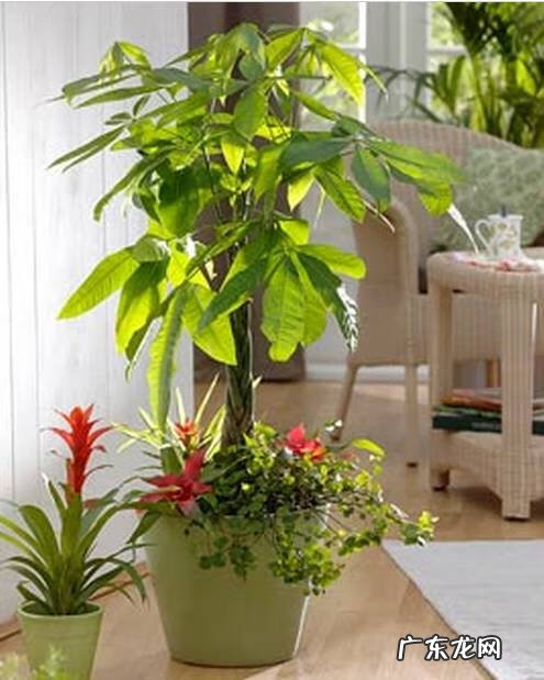 坐东北向西南的风水 坐西南向东北的风水