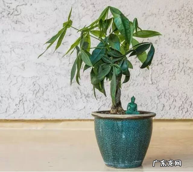 坐东北向西南的风水 坐西南向东北的风水