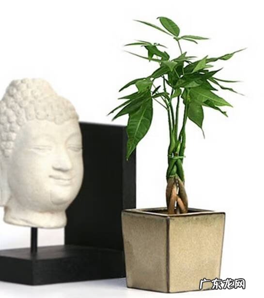 坐东北向西南的风水 坐西南向东北的风水