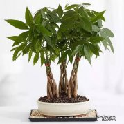 坐东北向西南的风水 坐西南向东北的风水