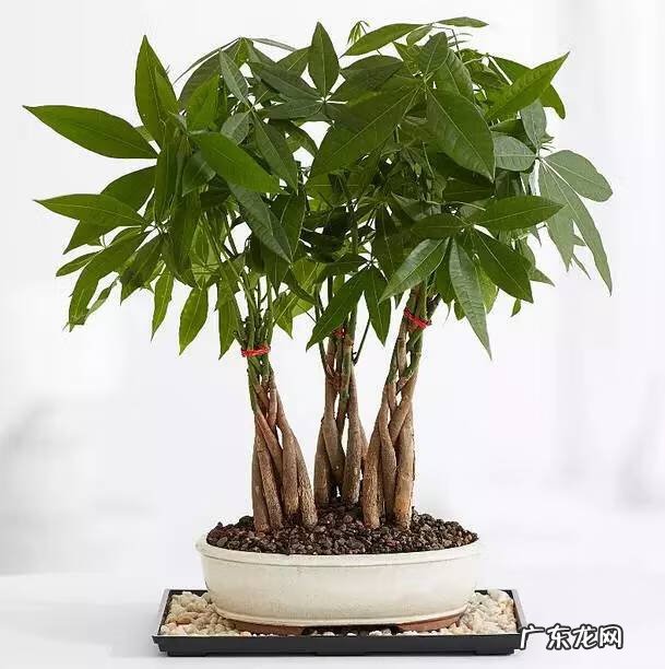 坐东北向西南的风水 坐西南向东北的风水