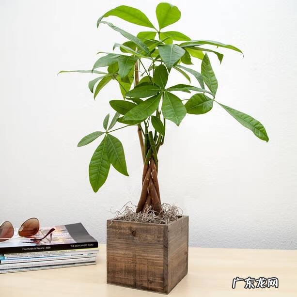 坐东北向西南的风水 坐西南向东北的风水