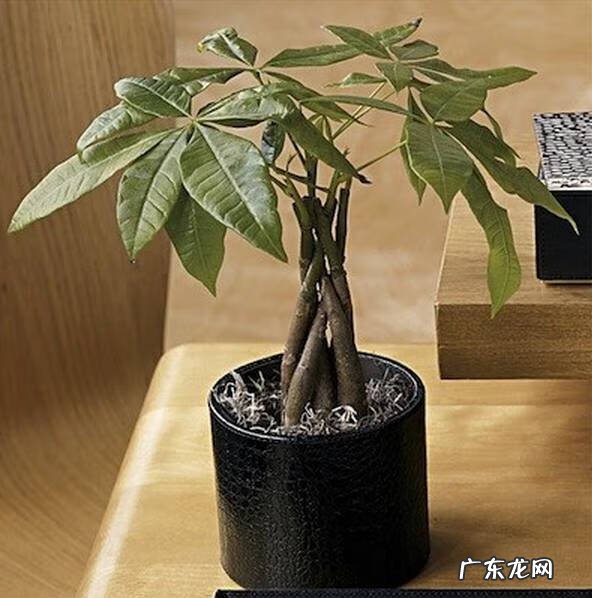 坐东北向西南的风水 坐西南向东北的风水