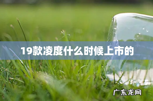 19款凌度什么时候上市的