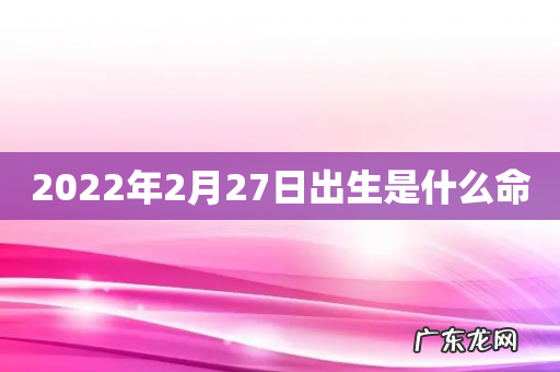 2022年2月27日出生是什么命