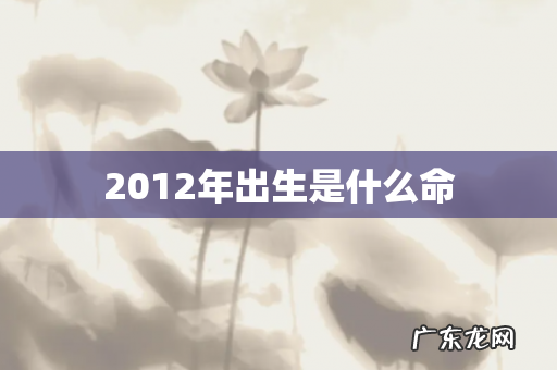 2012年出生是什么命
