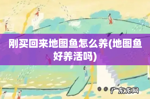 地图鱼好养活吗 刚买回来地图鱼怎么养