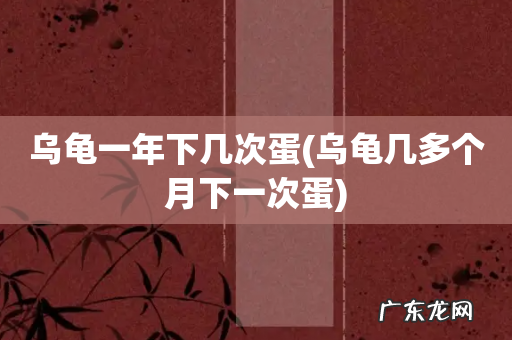 乌龟几多个月下一次蛋 乌龟一年下几次蛋