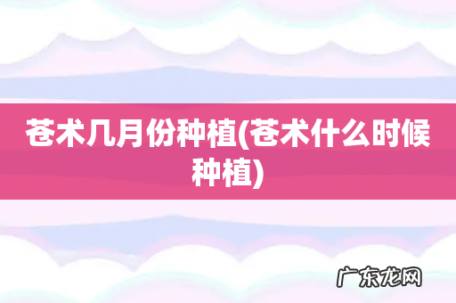 苍术什么时候种植 苍术几月份种植