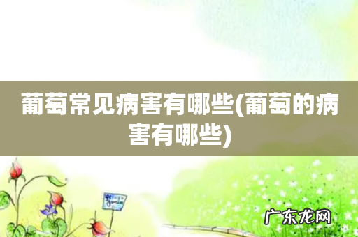 葡萄的病害有哪些 葡萄常见病害有哪些