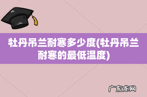 牡丹吊兰耐寒的最低温度 牡丹吊兰耐寒多少度