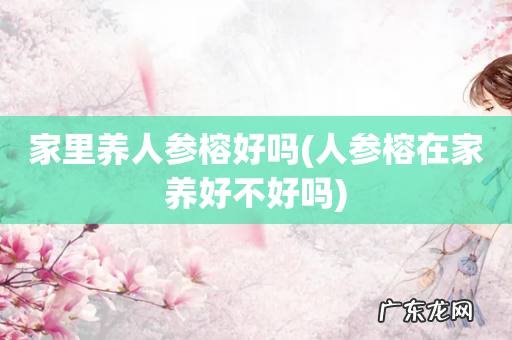 人参榕在家养好不好吗 家里养人参榕好吗