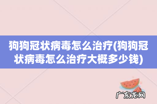 狗狗冠状病毒怎么治疗大概多少钱 狗狗冠状病毒怎么治疗