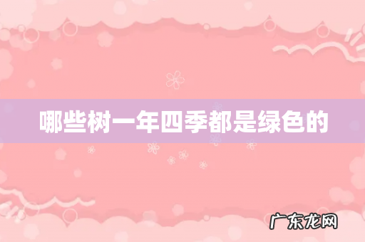 哪些树一年四季都是绿色的