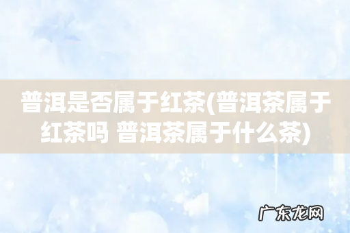 普洱茶属于红茶吗 普洱茶属于什么茶 普洱是否属于红茶