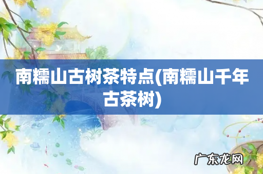 南糯山千年古茶树 南糯山古树茶特点