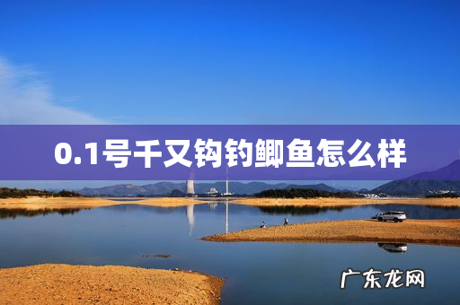0.1号千又钩钓鲫鱼怎么样