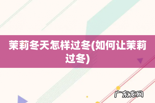 如何让茉莉过冬 茉莉冬天怎样过冬