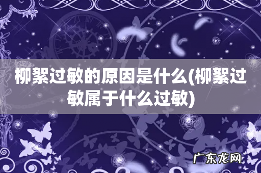 柳絮过敏属于什么过敏 柳絮过敏的原因是什么