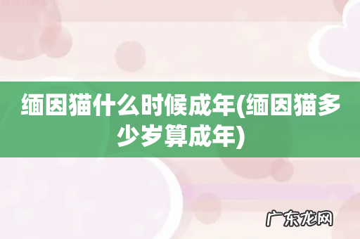 缅因猫多少岁算成年 缅因猫什么时候成年