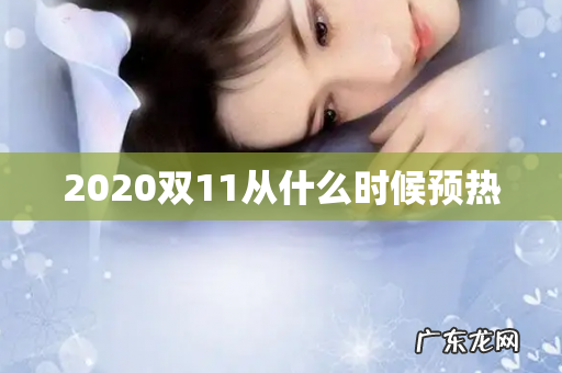 2020双11从什么时候预热