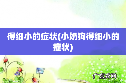 小奶狗得细小的症状 得细小的症状