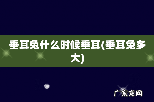 垂耳兔多大 垂耳兔什么时候垂耳