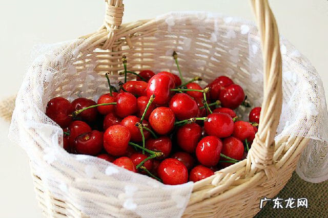 柠檬巧克力 樱桃巧克力大蛋糕总结