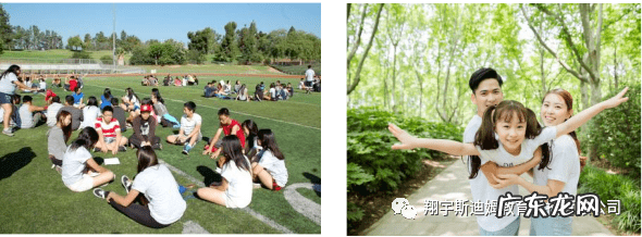 史莱姆 斯迪姆游戏