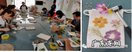 史莱姆 斯迪姆游戏