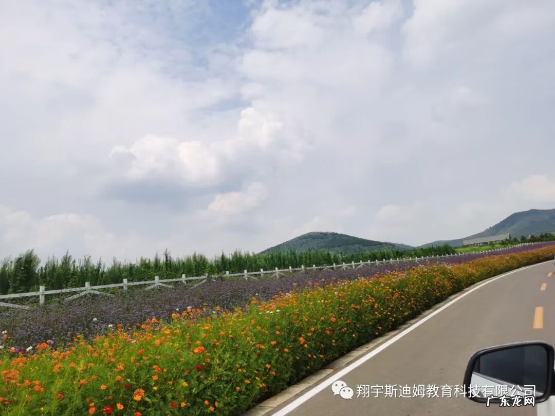 史莱姆 斯迪姆游戏