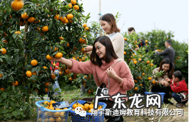 史莱姆 斯迪姆游戏