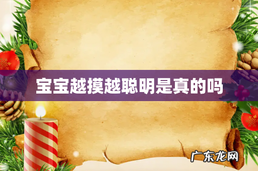 宝宝越摸越聪明是真的吗