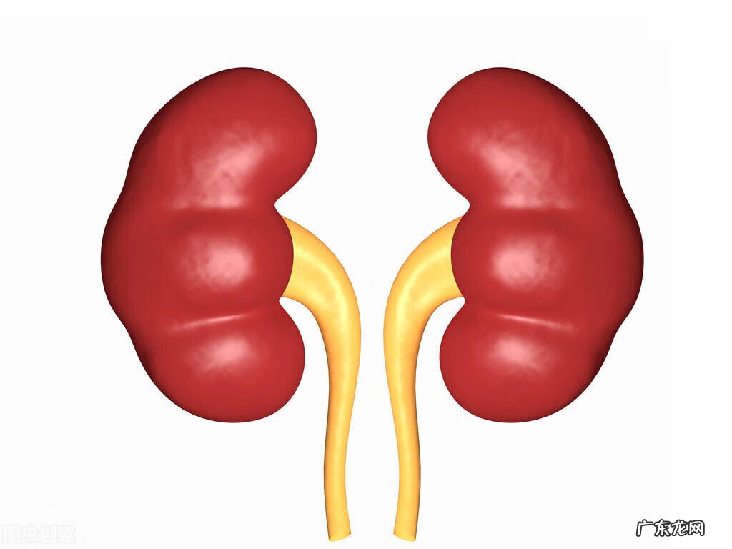 女性肾囊肿是什么原因引起的 右肾囊肿是怎么引起的