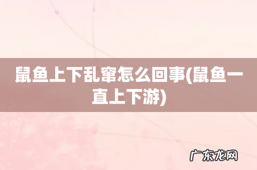 鼠鱼一直上下游 鼠鱼上下乱窜怎么回事