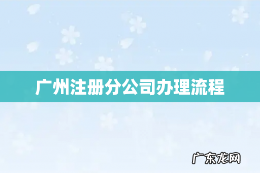 广州注册分公司办理流程