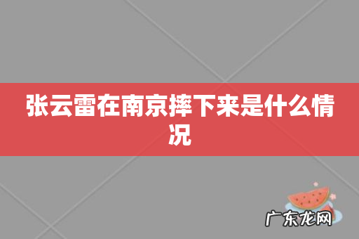 张云雷在南京摔下来是什么情况