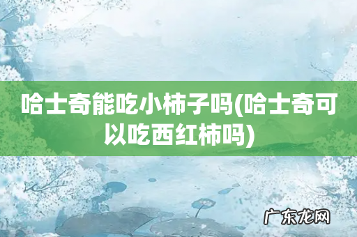 哈士奇可以吃西红柿吗 哈士奇能吃小柿子吗