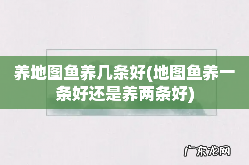 地图鱼养一条好还是养两条好 养地图鱼养几条好