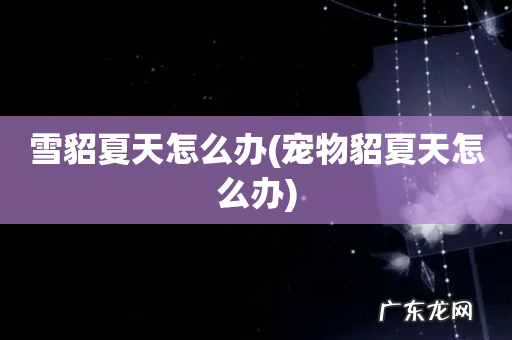 宠物貂夏天怎么办 雪貂夏天怎么办