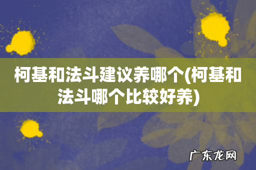 柯基和法斗哪个比较好养 柯基和法斗建议养哪个