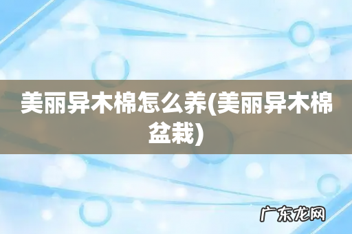 美丽异木棉盆栽 美丽异木棉怎么养
