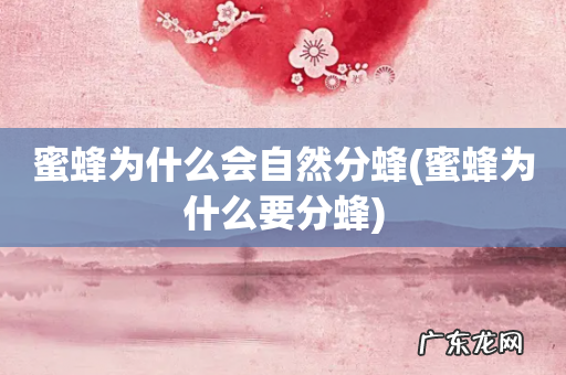 蜜蜂为什么要分蜂 蜜蜂为什么会自然分蜂