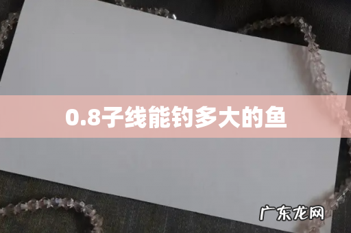 0.8子线能钓多大的鱼