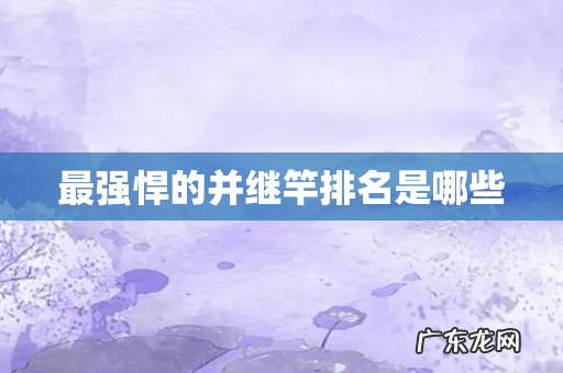 最强悍的并继竿排名是哪些