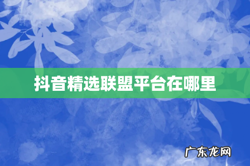 抖音精选联盟平台在哪里
